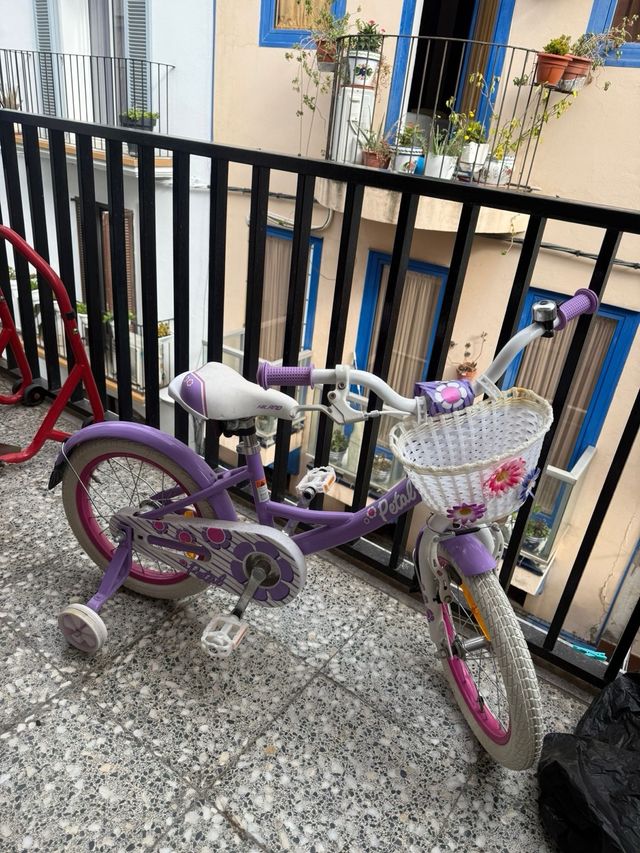 Bicicleta infantil morada Petal