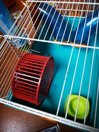 Jaula Hámster con Tobogán