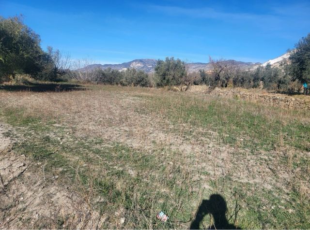Terreno en Niguelas de 3 Marjales