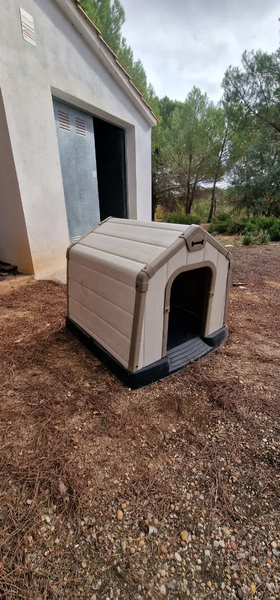 Caseta para perro Keter de plástico