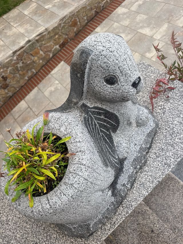 Maceta Foca Piedra Gris