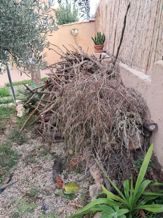 Legna per caminetto o barbecue