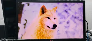 Monitor LG 23EN43 LED