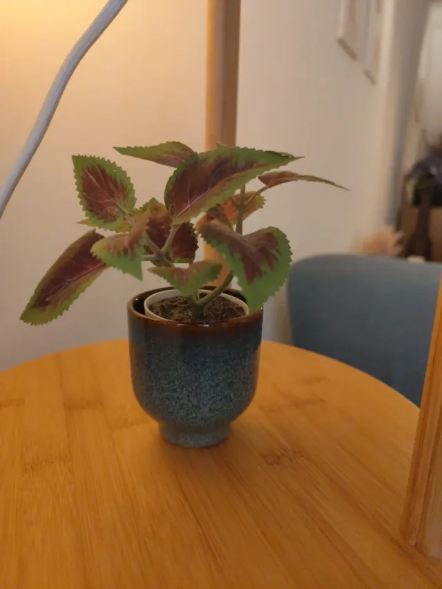 Planta artificial con macetero