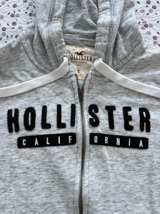 Sudadera Hollister