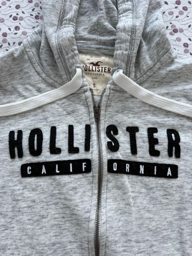 Sudadera Hollister
