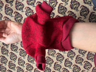 Ropa para perro/gato roja