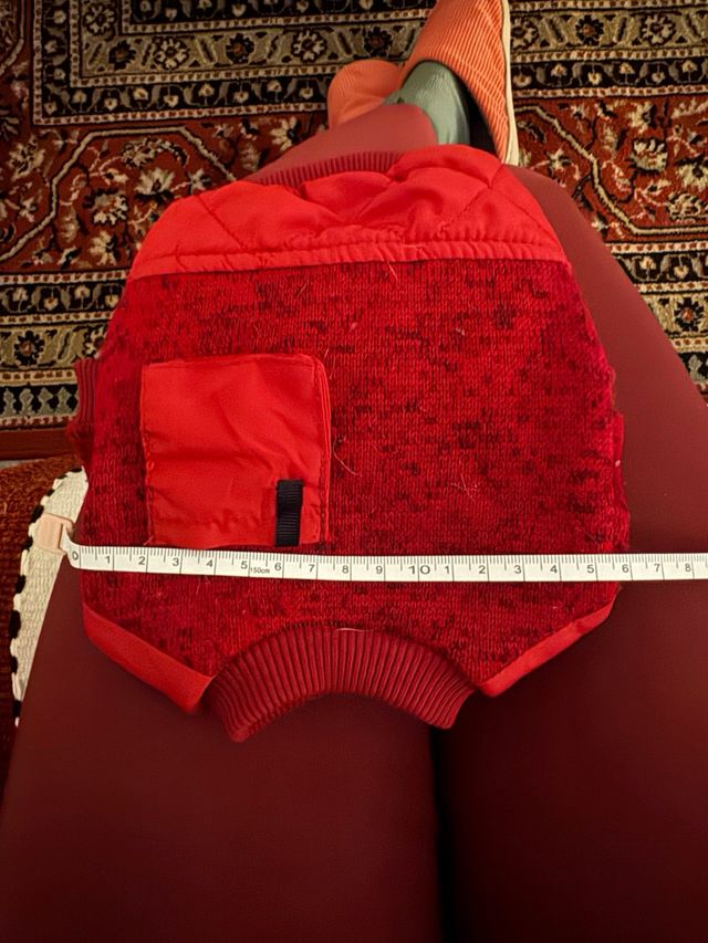 Ropa para perro/gato roja