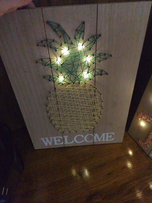 Cuadros Flamenco y piña con Luces LED.