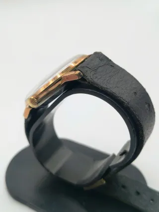 Reloj Festina Automático 17 Rubis