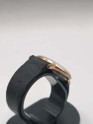 Reloj Festina Automático 17 Rubis