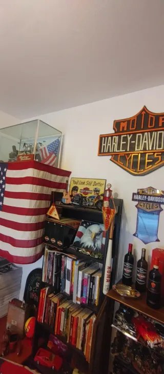 Oggetti Harley Davidson e non