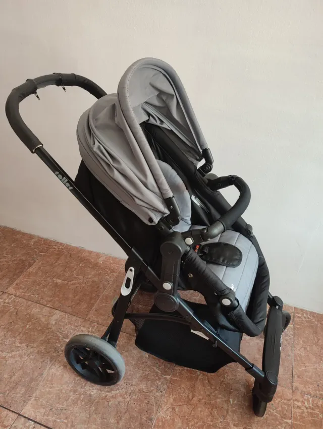 Carro Jané Roller 2 en 1