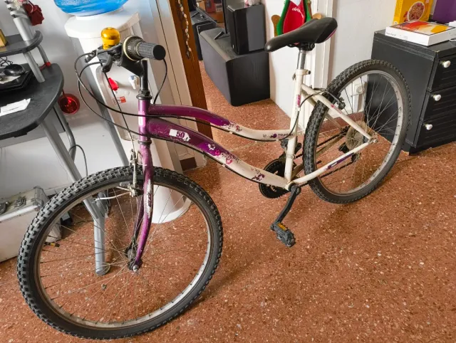 Bicicleta Montaña/Carretera