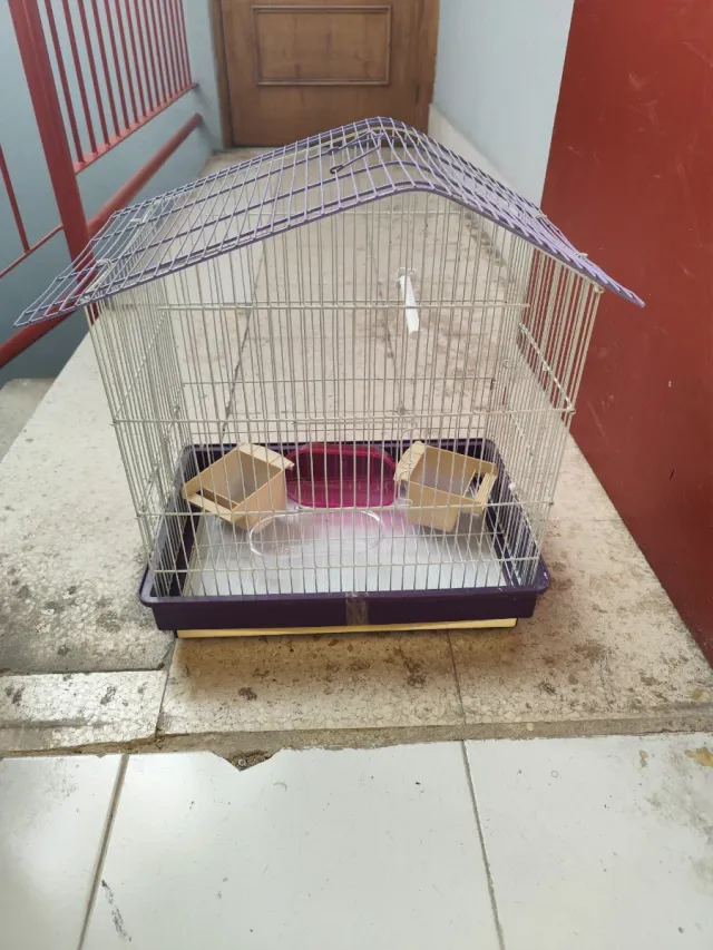 Jaula para pájaros morada