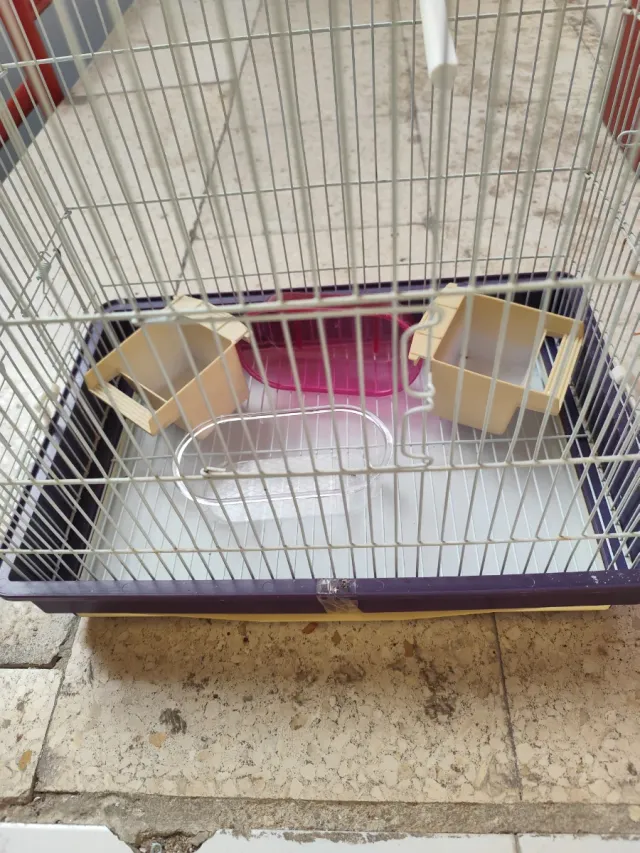 Jaula para pájaros morada