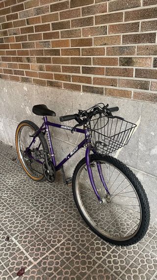 Bicicleta Morada Mentor Mountain Bike 1
