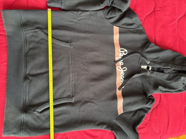 Sudadera Pepe Jeans Azul