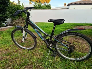 Bicicleta WRC Pro Connor 24