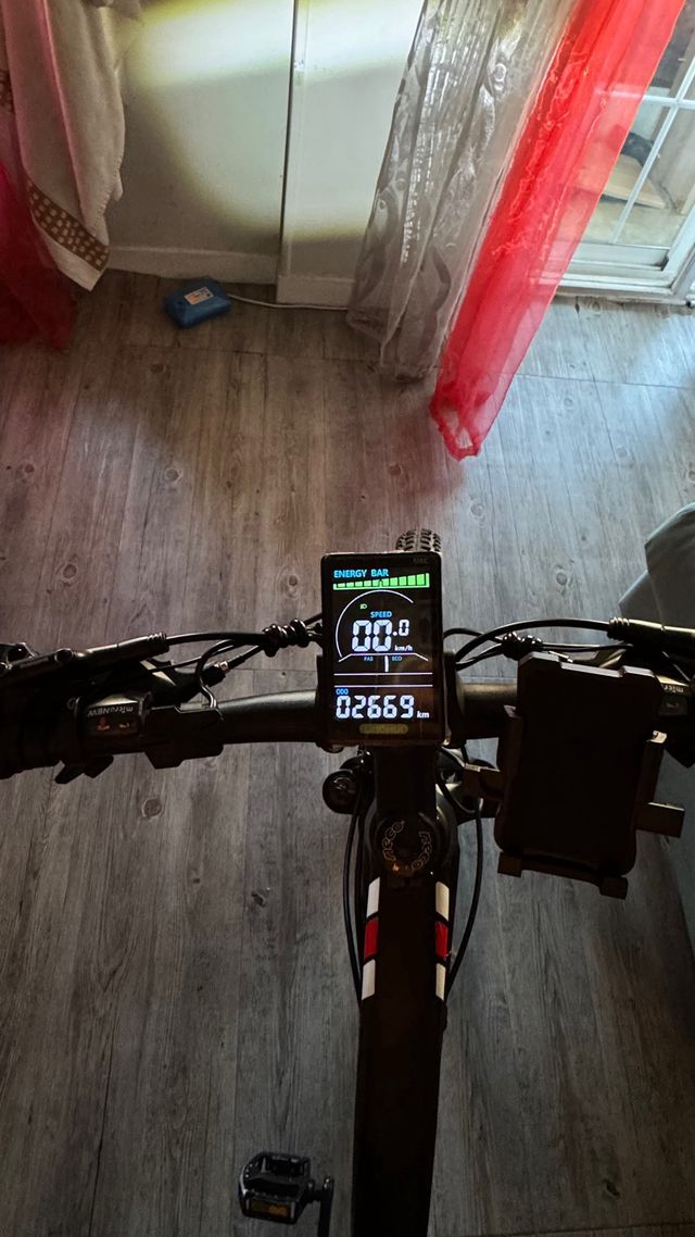 Bicicleta Eléctrica RANRIDE YS90 1000W 48V