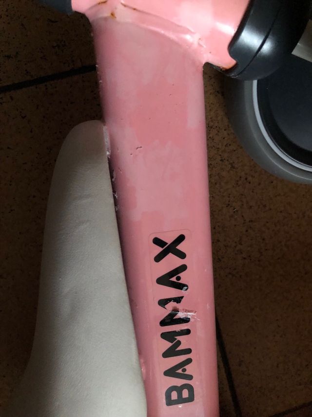 Bici Mini Bammax Rosa