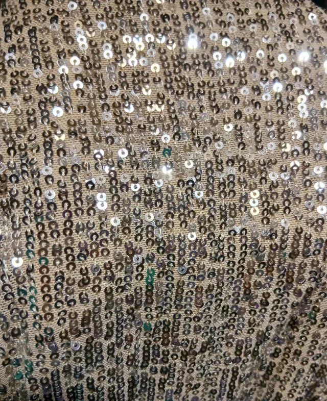 Falda Lentejuelas Larga Talla M H&M