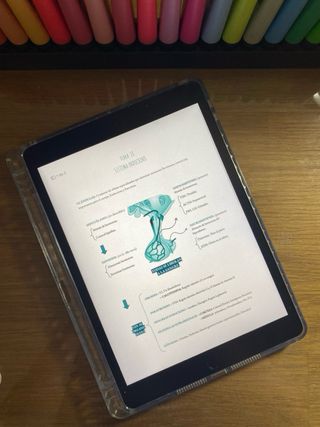 Apuntes 3º trimestre 1ºTSID