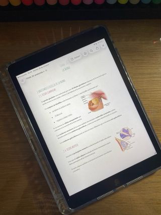 Apuntes 3º trimestre 1ºTSID