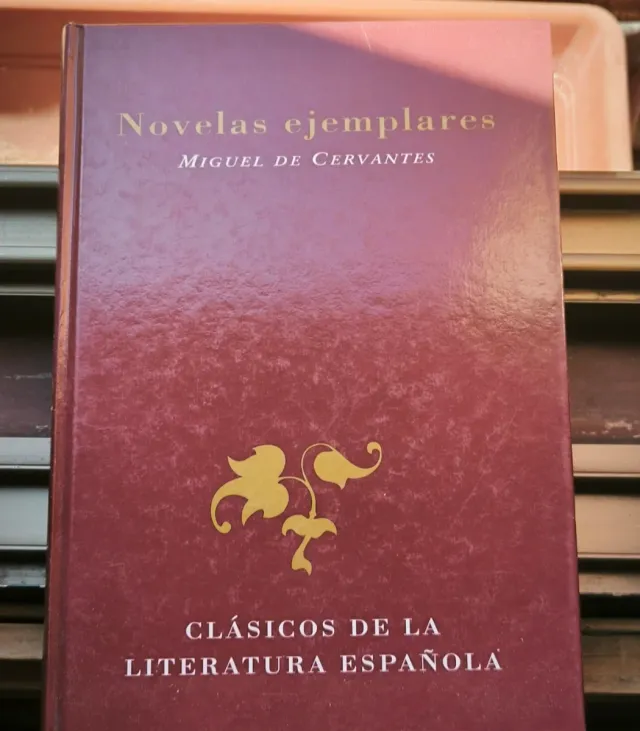 Lote 10 Libros Clásicos ideal para leer diferentes