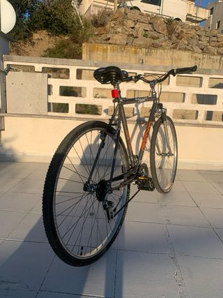 Bicicleta Trekking.ruedas 700 con cubiertas de 29’