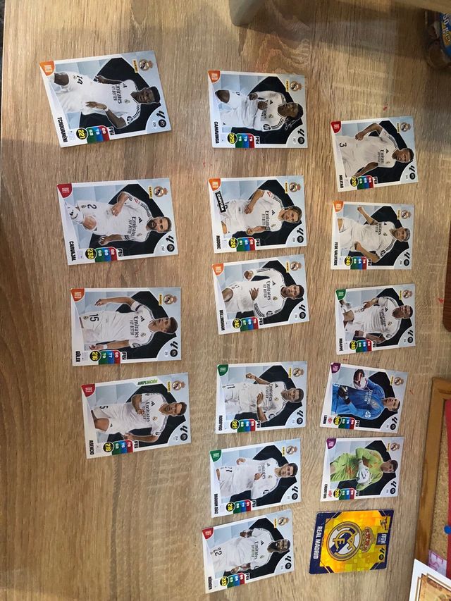 16 Cartas Real Madrid Panini