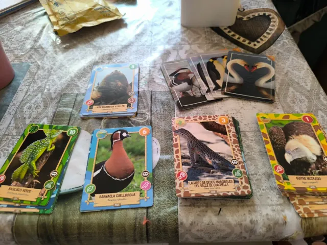 Cartas Rewild "Yonomeextingo" Colección Panini