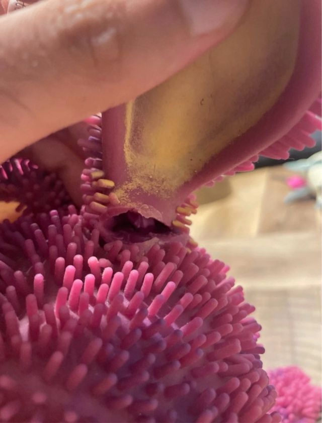 Xeno interattivo originale Giochi Preziosi - funge