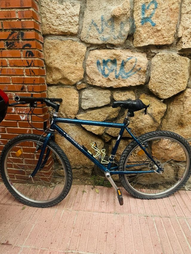Bicicleta Giradengo Azul
