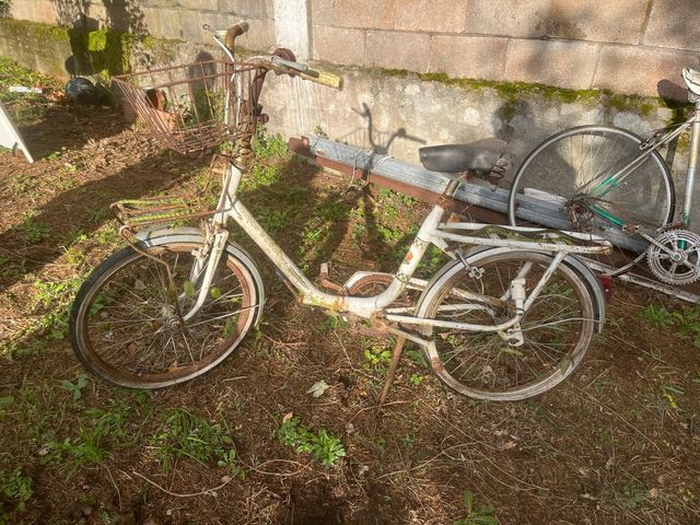 Vecchia bicicletta con cestino