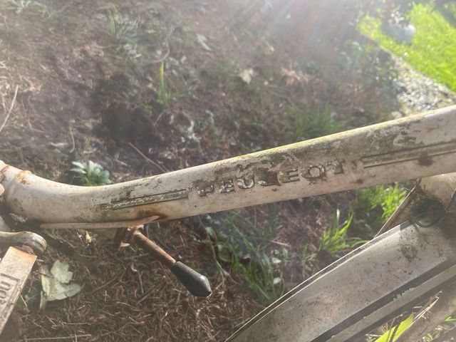 Vecchia bicicletta con cestino