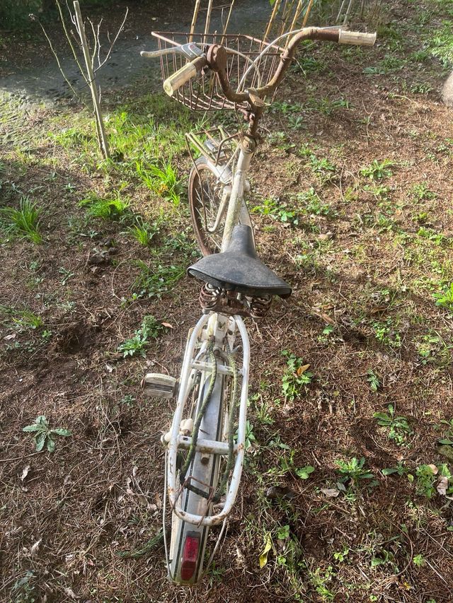 Vecchia bicicletta con cestino