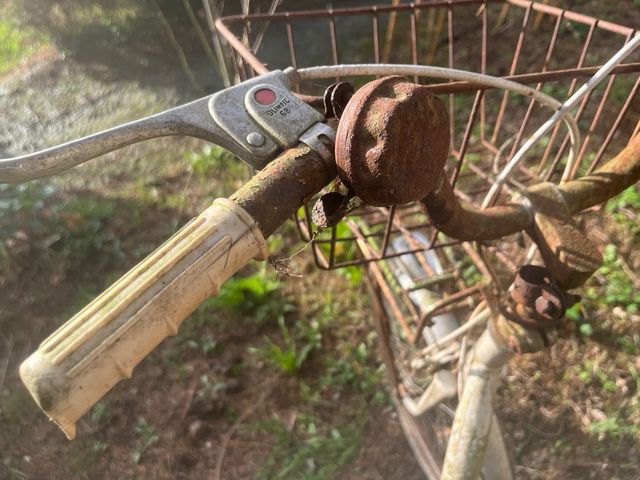 Vecchia bicicletta con cestino