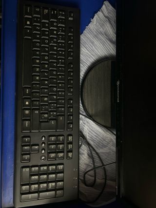 Packard Bell Viseo 203DX Monitor y Teclado y raton