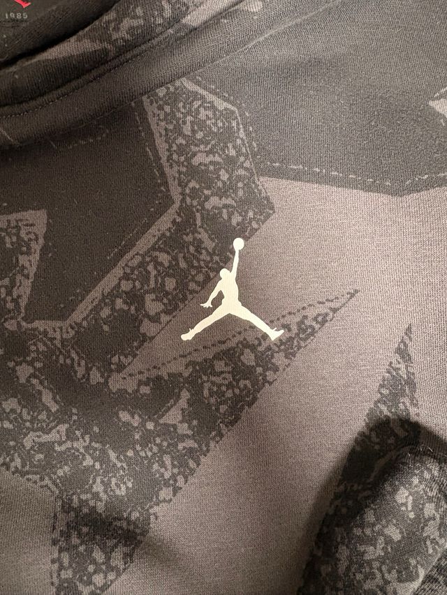 Sudadera Jordan con capucha y estampado