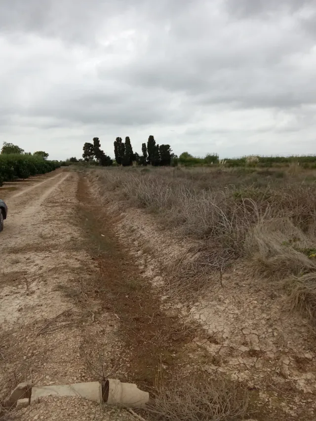 Terreno rústico en venta