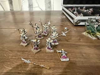 10 Guardia Negra Elfos Oscuros