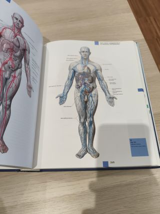 Atlas de Anatomía