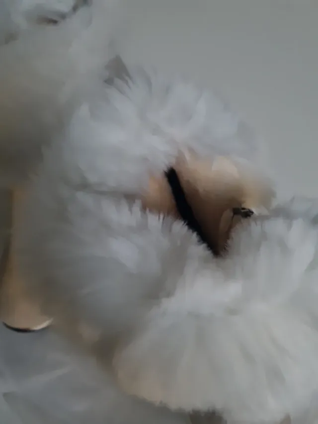 Botines infantiles beige calentitos