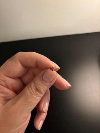 Pendiente oro rosa trébol rubí de Aristocrazy