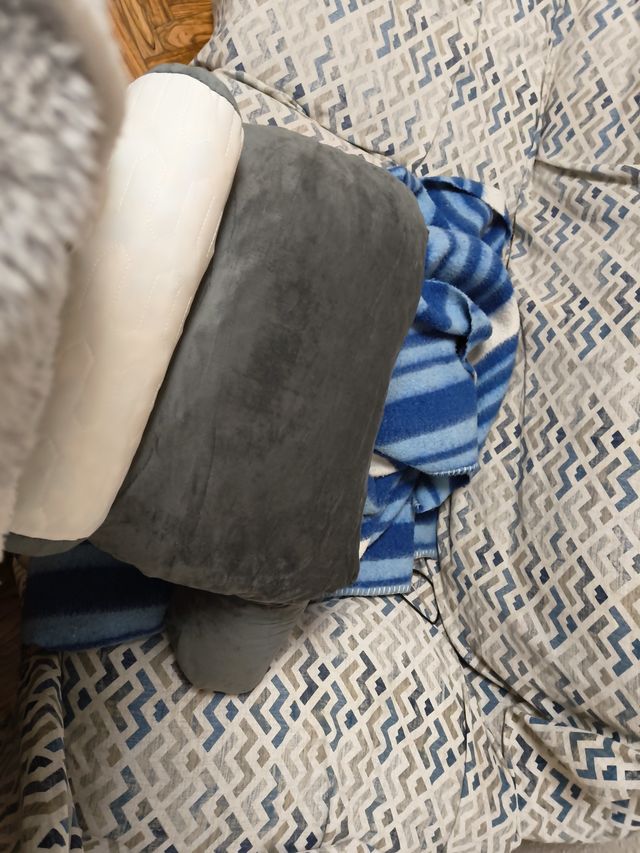 Cojín de espalda Lovely Dog