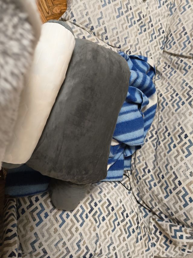 Cojín de espalda Lovely Dog