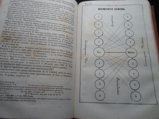 2 Libros Antiguos Teologia Moralis 1852