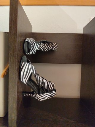 Zapatos de baile cebra