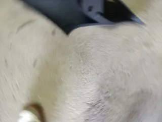 Techo+ bajantes+parasoles Seat Ibiza 6J cupra